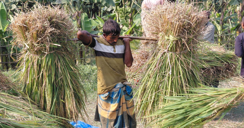 ছবি: প্রতিনিধি