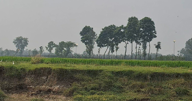 ছবি: প্রতিনিধি