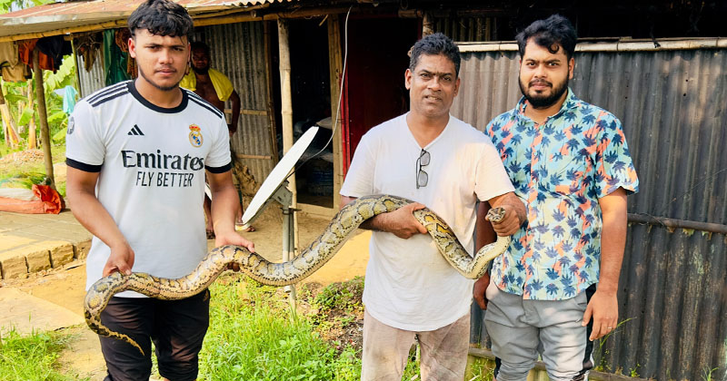 ছবি: প্রতিনিধি