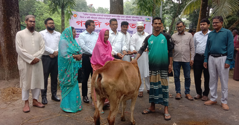 ছবি: প্রতিনিধি