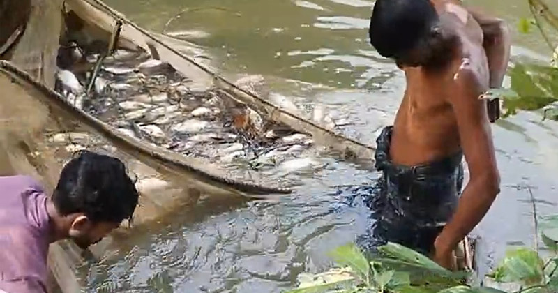 ছবি: প্রতিনিধি