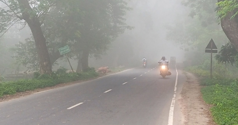 ঘন কুয়াশার কারণে যানবাহনগুলোকে হেডলাইট জ্বালিয়ে চলাচল করছে। ছবি : প্রতিনিধি