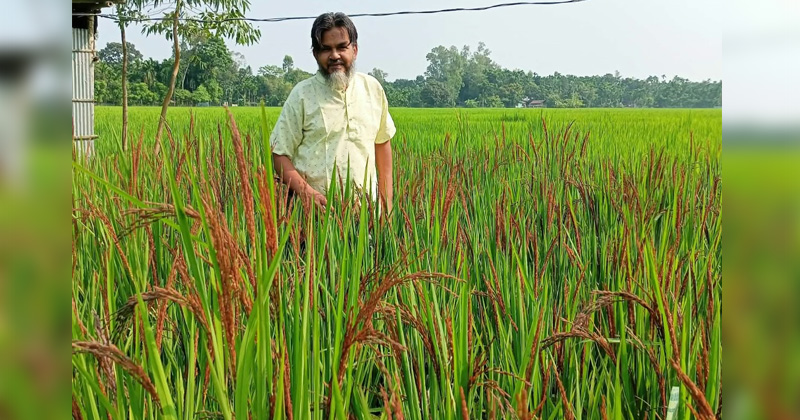 ছবি: প্রতিনিধি