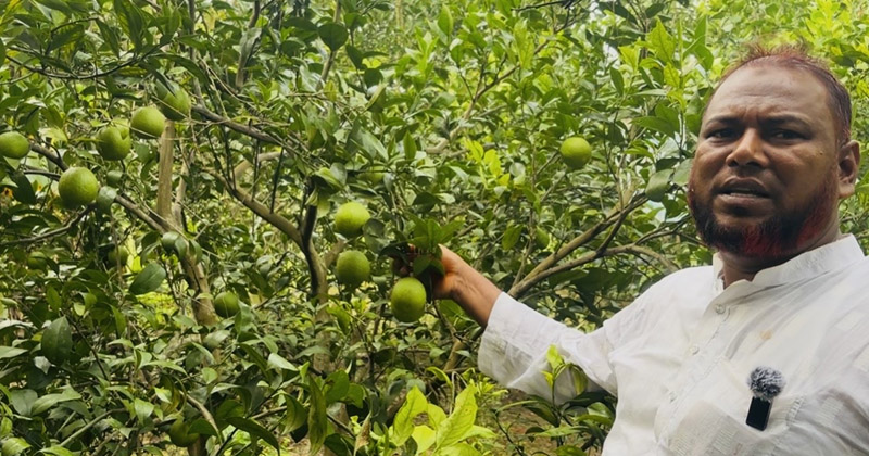 ছবি: প্রতিনিধি
