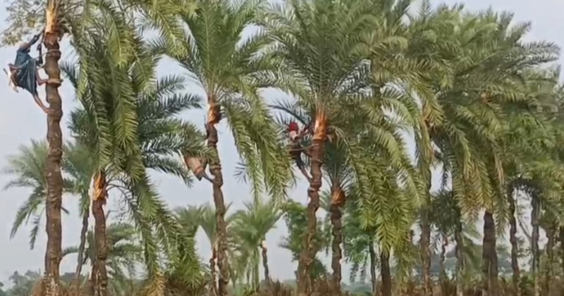 ছবি: প্রতিনিধি