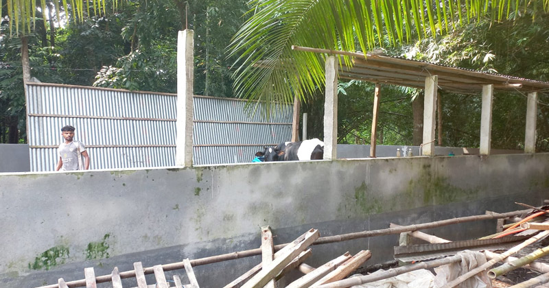 ছবি: প্রতিনিধি