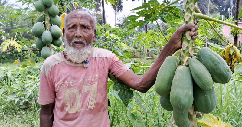 ছবি: প্রতিনিধি