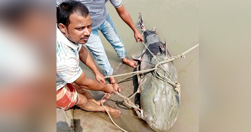 ছবি: প্রতিনিধি