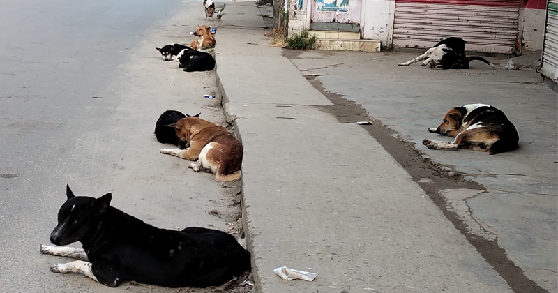 ছবি: প্রতিনিধি