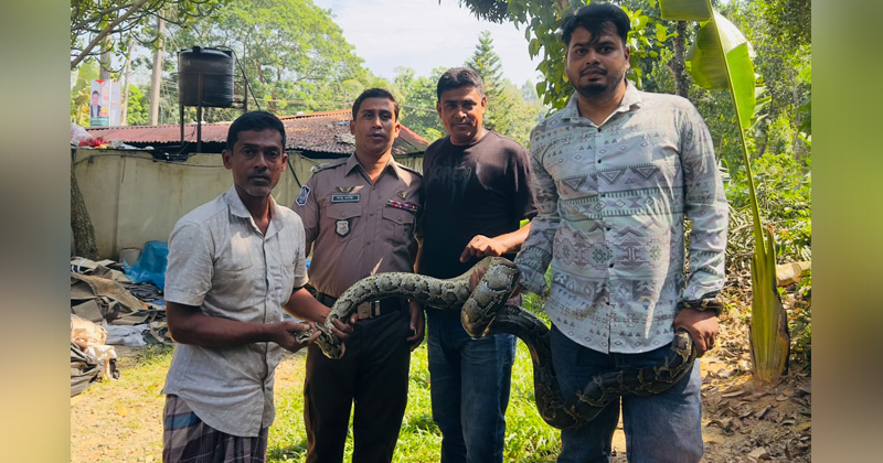 ছবি: প্রতিবেদক