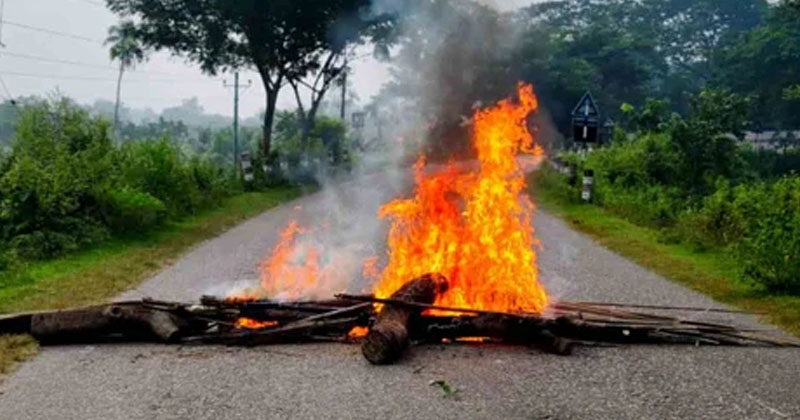 সংগৃহীত ছবি