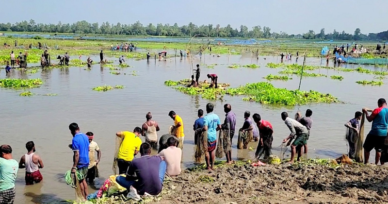 ছবি: প্রতিবেদক