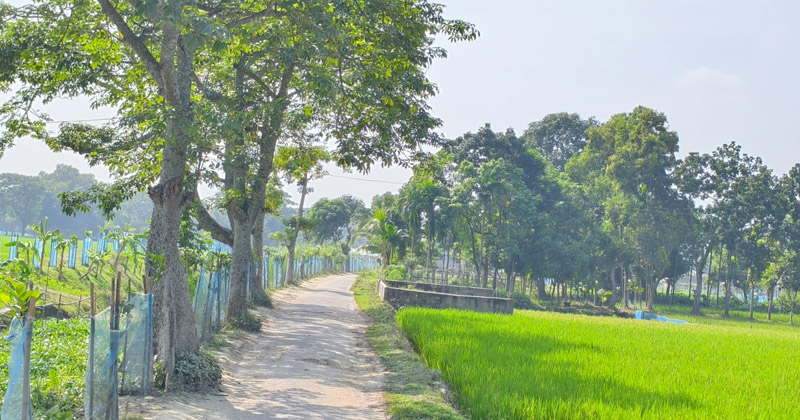 ছবি: প্রতিনিধি