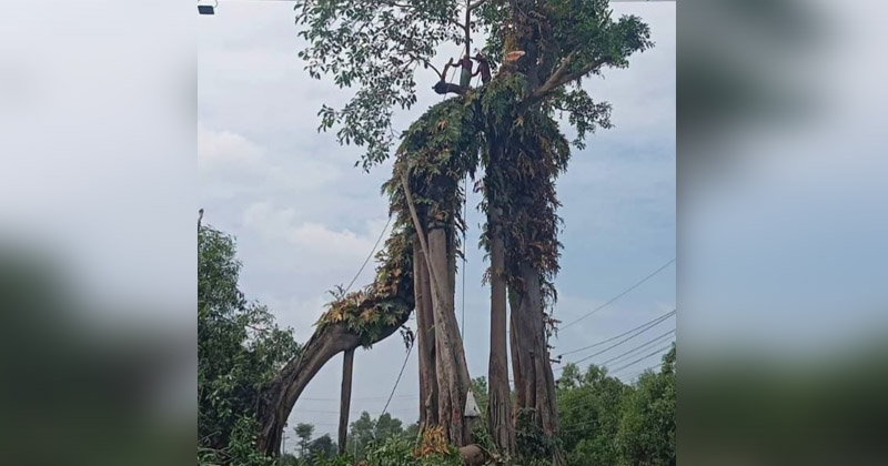 ছবি: প্রতিনিধি