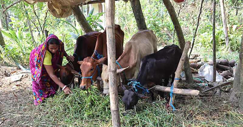 ছবি: প্রতিবেদক