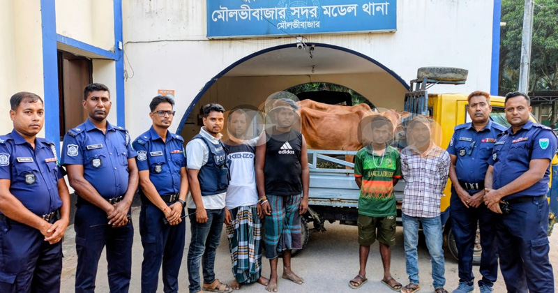 ছবি: প্রতিবেদক