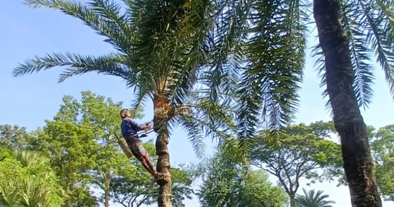 ছবি: প্রতিনিধি