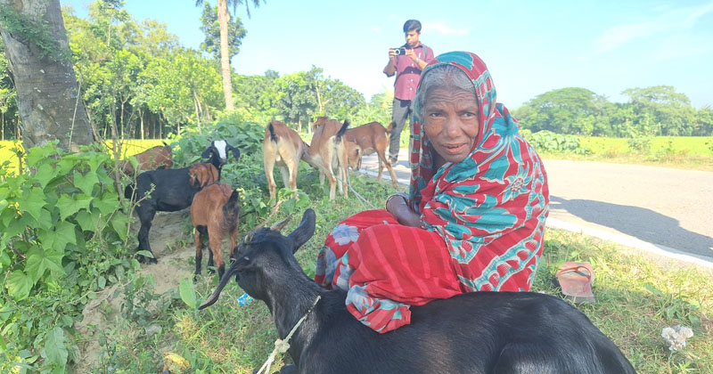 ছবি: প্রতিনিধি
