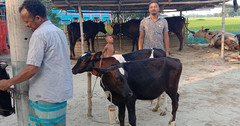 ছবি: প্রতিনিধি
