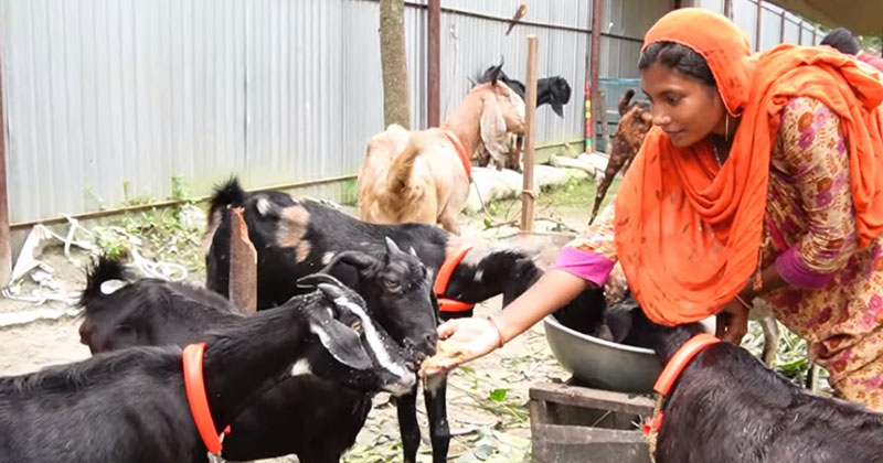 ছবি: প্রতিনিধি