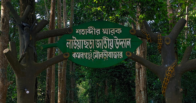 ছবি: প্রতিবেদক