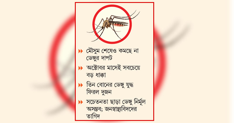 ছবি: খোলা কাগজ 