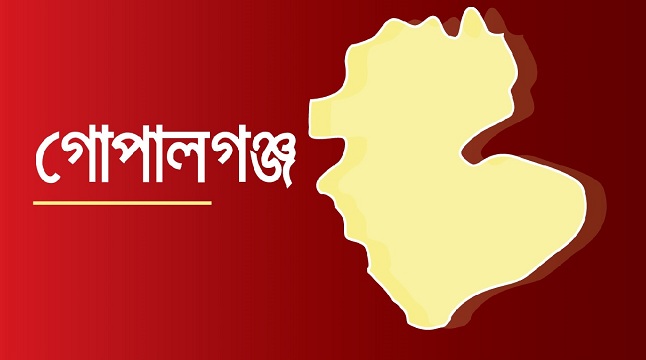 গোপালগঞ্জে বিএনপির গাড়িবহরে হামলা, স্বেচ্ছাসেবক দলের নেতা নিহত