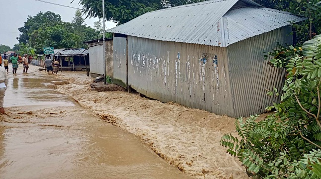 শেরপুরে পানিবন্দি কয়েক হাজার পরিবার